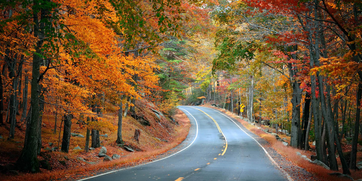 Best Fall Road Trips in the United States for 2026