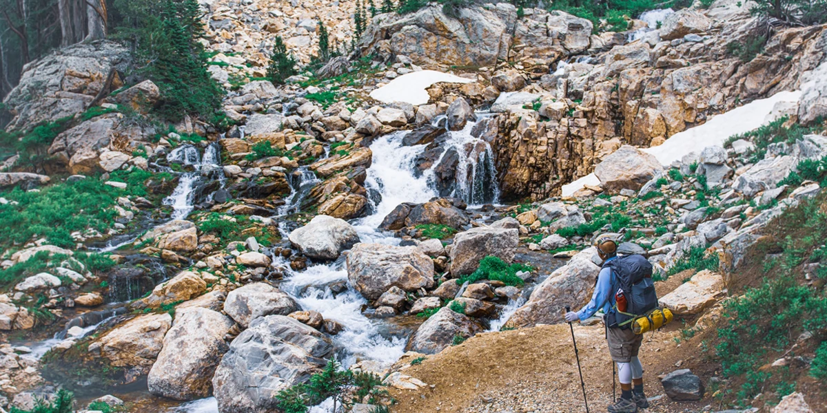 Yellowstone National Park Visitor Trends